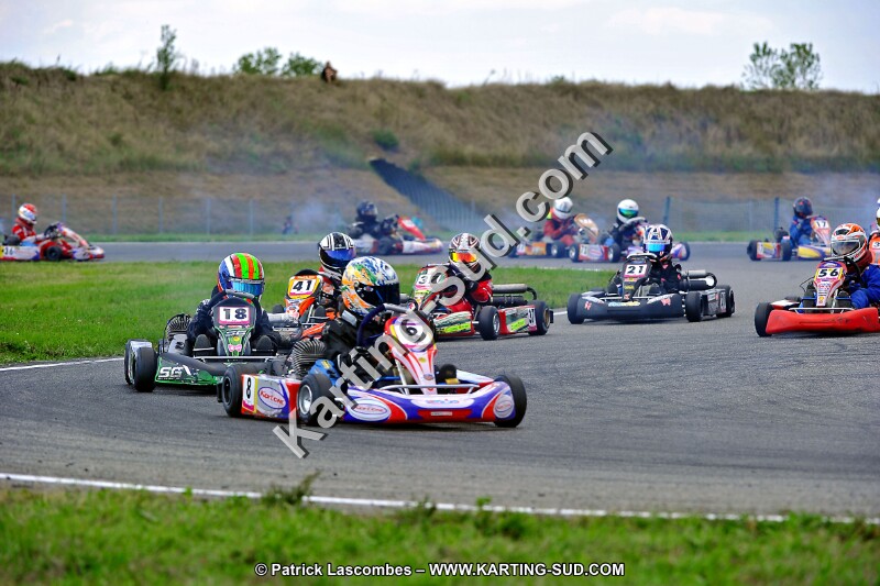 DSC_ (625).jpg
